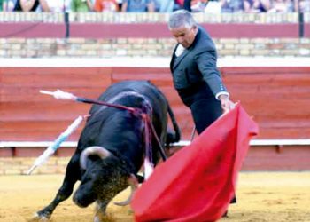 Especialistas del hospital Rebagliati  brindan recomendaciones para evitar lesiones por teletrabajo  a través de la ergonomía