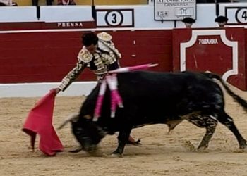 Federación de trabajadores en construcción civil respalda a Keiko Fujimori