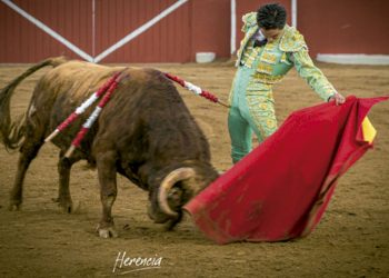 Juan Carlos Cubas, genera expectativa en Sicaya, Andrés Roca Rey arrollador en Francia  puerta grande en Arles y Dax