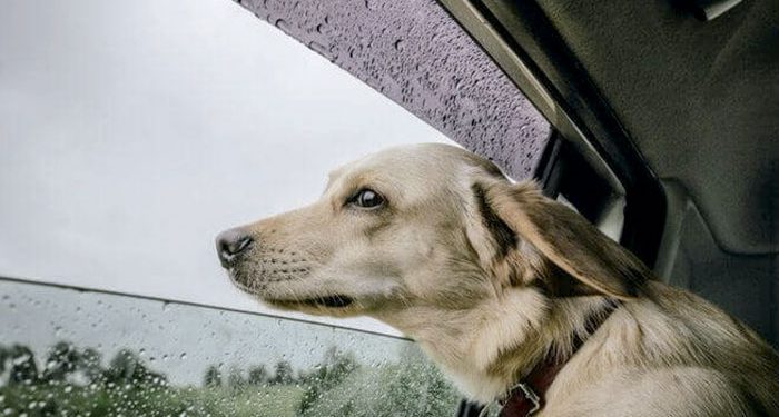 Denuncian a Pedro Castillo por presunto tráfico de influencias