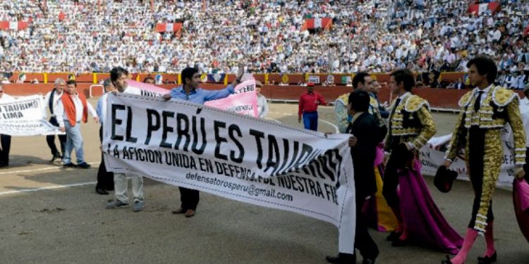 Pedro Castillo: Fallo de la Haya en 2014 reivindicó el respeto y la defensa de nuestra soberanía nacional