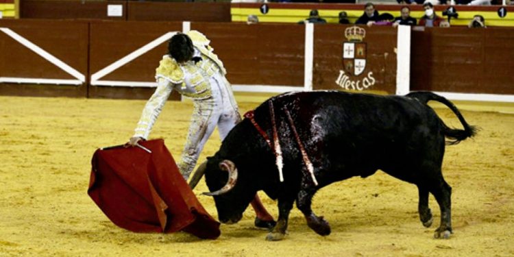 Andrés roca rey tres orejas y puerta grande en illescas y joaquín galdós inaugura web