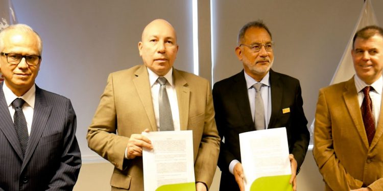 Pedro Castillo: rechazan hábeas corpus contra denuncia por traición a la patria