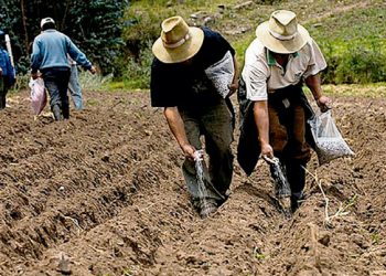 Covid-19: conoce quiénes reciben la cuarta dosis, con qué marcas y luego de cuántos meses