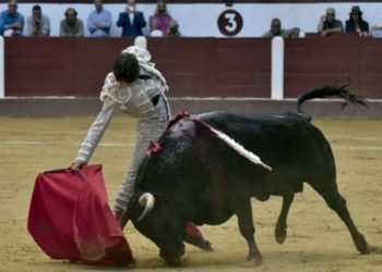 Roca rey cuatro orejas en león y galdós indulta en cutervo,