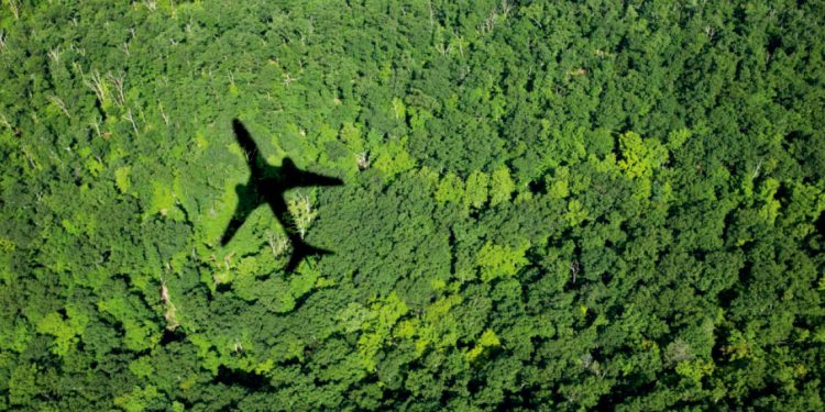No tienen perdón, quienes ha utilizado la justicia y la prensa para aniquilar a los enemigos políticos.