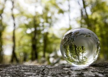MOVISTAR OBTIENE LA SEGUNDA ESTRELLA EN LA PLATAFORMA HUELLA DE CARBONO PERÚ DEL MINAM
