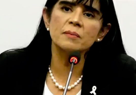 CON ENERGÍAS RENOVABLES EL PERÚ ASEGURARÁ TARIFAS ACCESIBLES PARA LAS INDUSTRIAS Y HOGARES PERUANOS