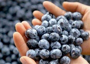 ARRIOLA DICE QUE TIENE “REPORTES DE INTELIGENCIA” SOBRE MARCHA DEL MIÉRCOLES 15 Y PIDE QUE ASISTAN “SIN CUBRIRSE EL ROSTRO”