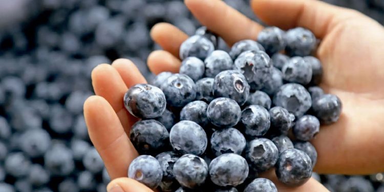 ARRIOLA DICE QUE TIENE “REPORTES DE INTELIGENCIA” SOBRE MARCHA DEL MIÉRCOLES 15 Y PIDE QUE ASISTAN “SIN CUBRIRSE EL ROSTRO”