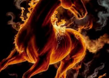 Se espera que el pleno no sea un circo y que los parlamentarios actúen  de acuerdo a lo que el país requiere. Un gobernante honesto