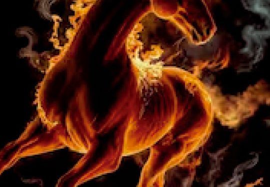 Se espera que el pleno no sea un circo y que los parlamentarios actúen  de acuerdo a lo que el país requiere. Un gobernante honesto