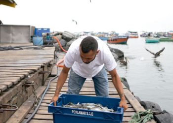 FUNDACIÓN MAPFRE ABRE NUEVA CONVOCATORIA DE SUS PREMIOS SOCIALES PARA RECONOCER A PERSONAS Y ENTIDADES QUE CONTRIBUYEN A MEJORAR LA SOCIEDAD