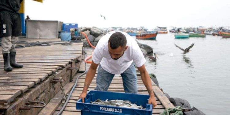 FUNDACIÓN MAPFRE ABRE NUEVA CONVOCATORIA DE SUS PREMIOS SOCIALES PARA RECONOCER A PERSONAS Y ENTIDADES QUE CONTRIBUYEN A MEJORAR LA SOCIEDAD