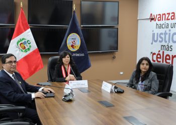 PODER JUDICIAL REGISTRA CERCA DE 5 MIL CASOS POR TENENCIA Y RÉGIMEN DE VISITAS CON EXPEDIENTE JUDICIAL ELECTRÓNICO