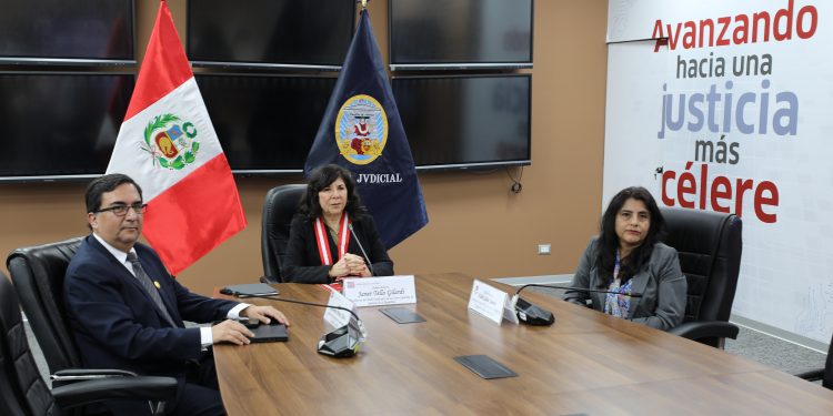 PODER JUDICIAL REGISTRA CERCA DE 5 MIL CASOS POR TENENCIA Y RÉGIMEN DE VISITAS CON EXPEDIENTE JUDICIAL ELECTRÓNICO