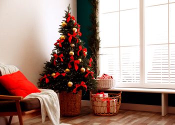 Árbol de Navidad: cómo elegir el tamaño y estilo adecuado para tu casa